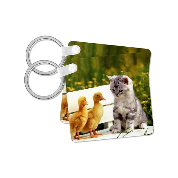 3dRose, Kitten and Duck, set of 2 Key Chains