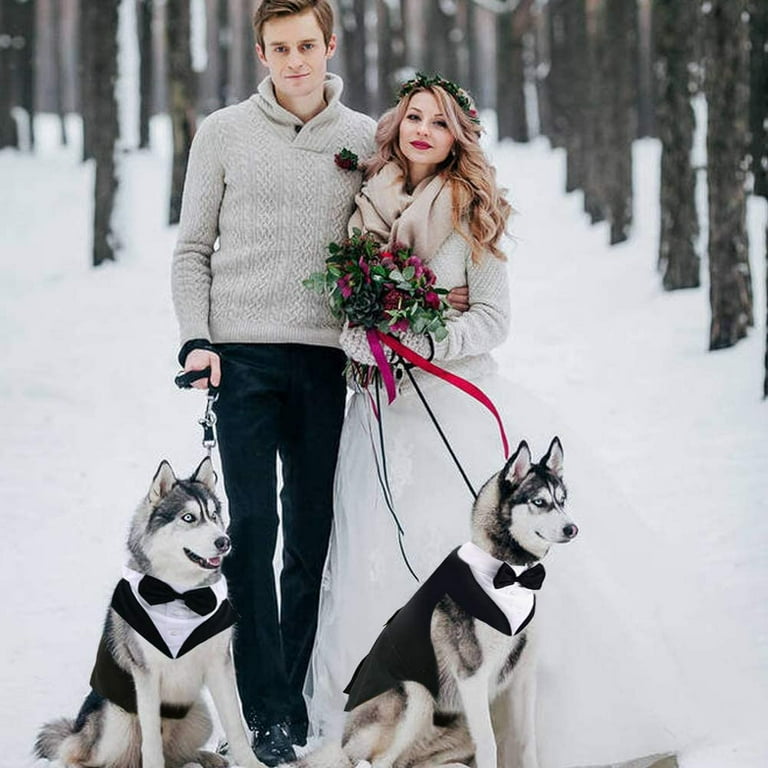 Wedding attire for outlet dogs