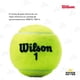 thumbnail image 5 of Pelotas Tenis Wilson 24 Botes 72pcs Championship Presurizada Wilson COMBO-WILSON-05, 5 of 5