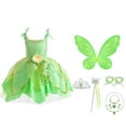 thumbnail image 3 of Flowers Fairy Costume Princess Dress Up Set for Girls Tinker Bell Toddler Cosplay Clothes Dress with Wing Set, 3 of 3