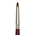 thumbnail image 1 of CEPILLO REAL ROYAL BRUSH  RYL950058, 1 of 1