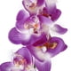 thumbnail image 3 of La nueva orquídea de simulación 1 Uds., 3 of 3