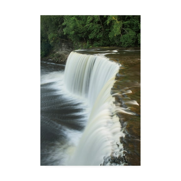 Trademark Fine Art 'Tahquamenon Falls Michigan II' Canvas Art by Alan Majchrowicz
