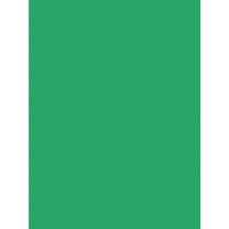 SunWorks, PAC8017, Construction Paper, 50 / Pack, Holiday Green