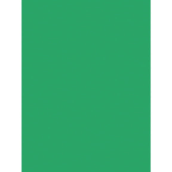 SunWorks, PAC8017, Construction Paper, 50 / Pack, Holiday Green