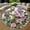 Victorian Rose, variant on Round Area Rug, Italy 1 Non-Slip Floor Mat, Soft Washable Carpet for Living Room Bedroom Decor 39 Inch