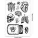 thumbnail image 2 of Sellos transparentes con forma de frasco, órgano, corazón y ojo. Sellos de goma transparentes para scrapbooking., 2 of 7