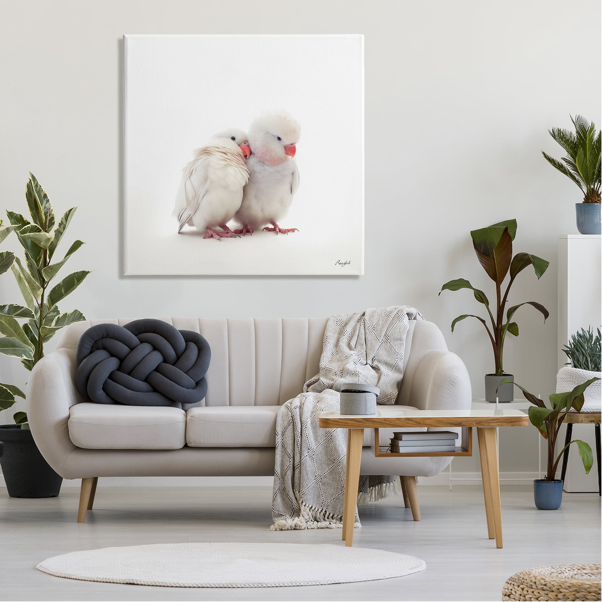 Stupell Industries White Love Birds Animals & Insects Painting Gallery Wrapped Canvas Art Print Wall Art, 36 x 36