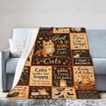 thumbnail image 3 of Cat Lover Blanket Gift Throw Blanket Cute Cat Pattern Blanket Cozy Soft Home Decor Gift for Cat Lovers and Cat Moms 50x40, 3 of 6