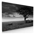 thumbnail image 1 of Cuadro Decorativo Para Sala o Recamara Elefantes En La Lluvia, 1 of 5