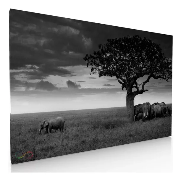 Cuadro Decorativo Para Sala o Recamara Elefantes En La Lluvia