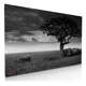 thumbnail image 1 of Cuadro Decorativo Para Sala o Recamara Elefantes En La Lluvia, 1 of 5