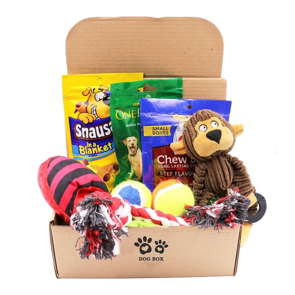 Best Dog Puppy Gift Box Set with Pet Toys Treats