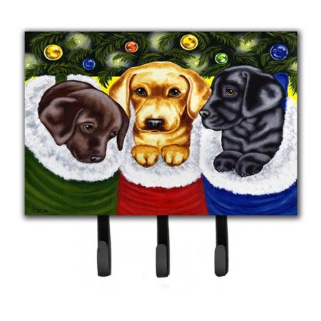 

Christmas Stocking Surprise Labrador Leash or Key Holder