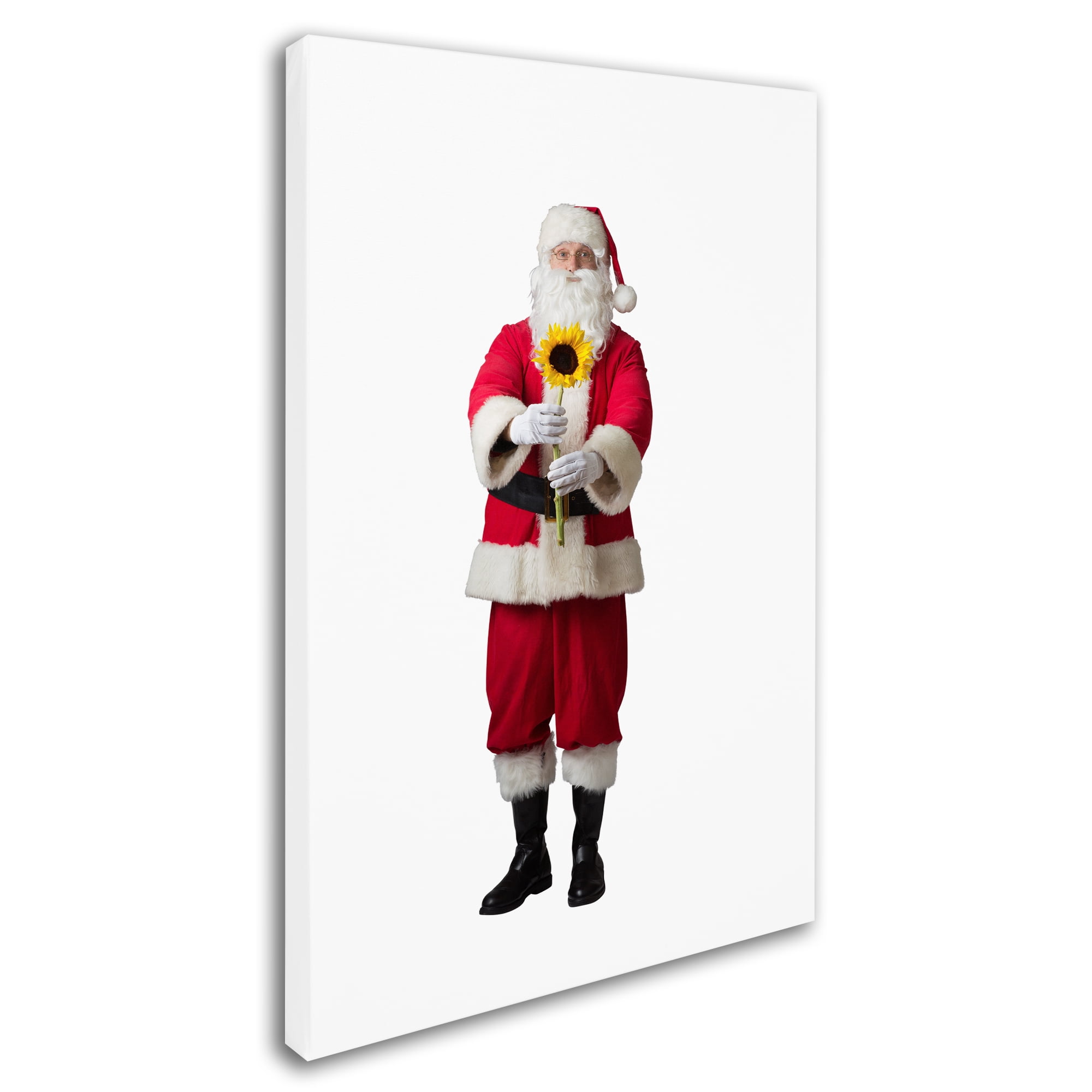 Trademark Fine Art 'Santa-sunflower4-12106' Canvas Art by Ed Wheeler
