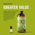 thumbnail image 6 of Lab Bulks Essential Oil Tea Tree Essential Oil 16 oz Big Bottle for Diffuser, Face, Hair, Aromatherapy, and Tea Tree Spray (473 ml), 6 of 9