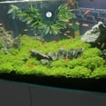 thumbnail image 3 of Raindrops 1Ud Planta Decorativa De Rattan Para Acuario Y Salada, 3 of 8