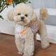 thumbnail image 4 of Vestido para perros pequeños, niña, falda floral, transpirable, para cachorros, vestido tutú, lindo gato, princesa, ropa de verano, disfraz de cumpleaños para perros, 4 of 8