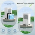 thumbnail image 6 of Costway  9-Pint(DOE) Portable Dehumidifier with Sleep Mode 2,500 Sq. ft Coverage Area (MAX 32Pint at 95°F, 90%RH), 6 of 10