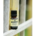 thumbnail image 5 of Plantlife Bergamot Aromatherapy Essential Oil - Straight From The Plant 100% Pure Therapeutic Grade - No Additives or Fillers - 30 ml, 5 of 5