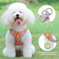 thumbnail image 6 of Levviye Dog Harness and Leash Reflective Breathable Set - Adjustable Vest Style for Walking, Orange M, 6 of 7