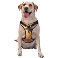 thumbnail image 1 of Honeii Sunset Dancing Dolphin A for Dog Harness,A Three-Buckle Adjustable Dog Vest, Medium-Sized Dogs-Large, 1 of 6