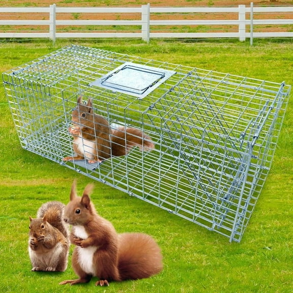 EVGTTI 37" Live Animal Cage Trap, Heavy Duty Folding Traps, Hunting Cage Traps, Raccoons, Squirrel, Skunk, Mole, Groundhog, Armadillo, Rabbit, Chipmunks, Catch and Release