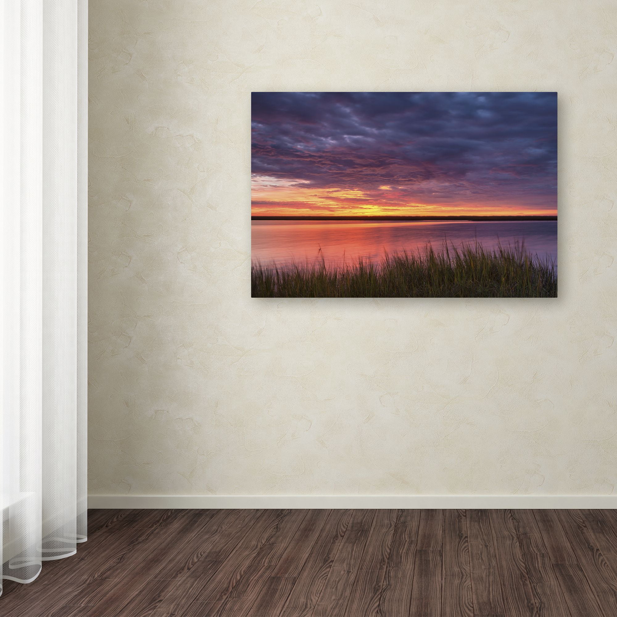 Trademark Fine Art 'Drama at the Marsh' Canvas Art by Michael Blanchette Photography