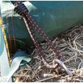 thumbnail image 2 of LLC Mini Bungee Cords (10-Pack) - Ideal for Tarps, Tents, Wire Racks, Camping Accessories, 2 of 4