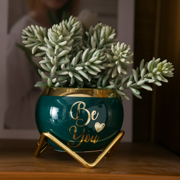 Perabella Inspirational Gifts for Women, Motivational Spiritual Gifts for  Female Friends-3 Succulent Pots 