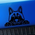 thumbnail image 1 of Peeking Husky - Vinyl Decal - Choose Color - [BLACK], 1 of 1
