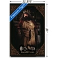 thumbnail image 3 of Harry Potter and the Sorcerer's Stone - Hagrid Cooking Wall Poster, 22.375" x 34", 3 of 6