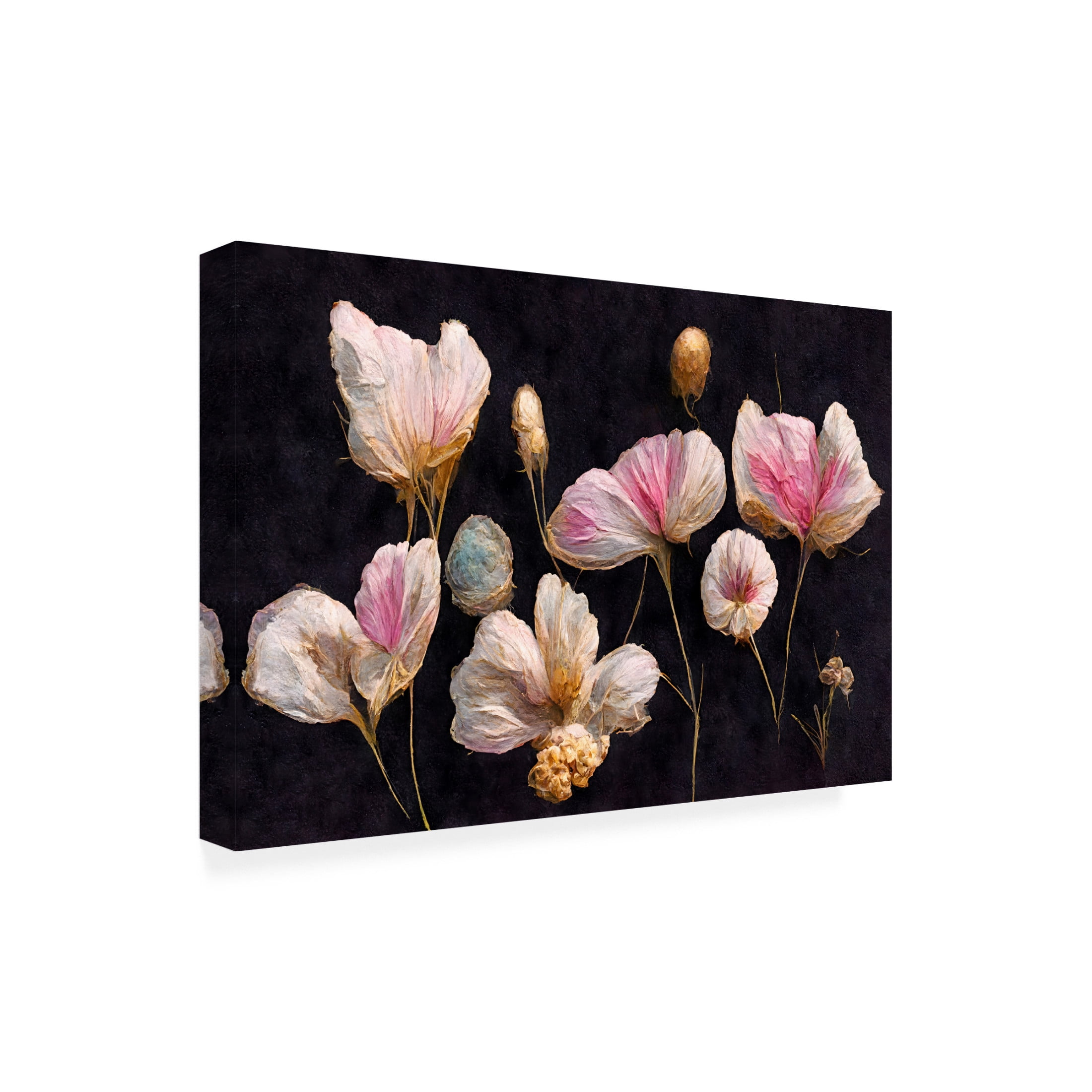Canvas Wall Art - Treechild 'Gentle Pink Dry flowers' Wall Art for Living Room, Bedroom, or Office D?cor by Trademark Fine Art - 19 x 12 Inches