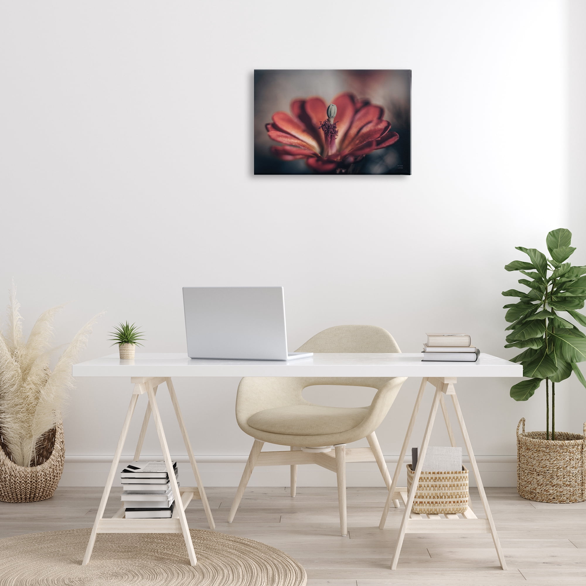 Stupell Industries Red Elevation Bloom Botanical & Floral Photography Gallery Wrapped Canvas Art Print Wall Art, 24 x 16