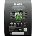 thumbnail image 3 of Iams Proactive Health Adult Active Chicken And Turkey Flavor Dry Dog Food, 13.5 Lb Bag, 3 of 9