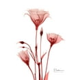 thumbnail image 2 of Koetsier, Albert 12x14 White Modern Wood Framed Museum Art Print Titled - Marvelous Gentian 2, 2 of 4