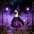 thumbnail image 2 of AZXY Halloween Porch Goose Outfit, 23 Inch Costume Set, Purple Witch Dress with Witch Hat, Clothes for Cement Plastic Porch Goose & Duck Statue, Lawn Yard Patio Garden Outdoor Holiday Fall Decor, 2 of 5