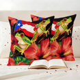thumbnail image 3 of Outdoor Pillow Covers Country Red Flowers Frog Waterproof Pillow Cases 24x24 Set of 2, Puerto Rico Flag Throw Pillow Cover Pillowcase for Patio Balcony Couch Garden, 3 of 9