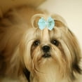 thumbnail image 5 of OHOIOLLA 20Ud Ligas Para De Mascotas Lazo Multicolor Resistentes Para Perros Y, 5 of 5