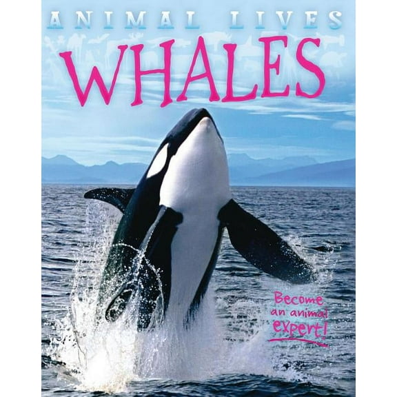 Animal Lives: Whales (Hardcover)