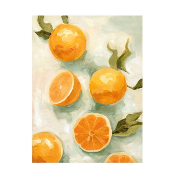 Emma Scarvey 'Fresh Citrus V' Canvas Art - Walmart.com