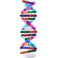 thumbnail image 1 of DNA Models Double Helix Model Components, Science Educational Teaching Instrument Toy, 1 of 4
