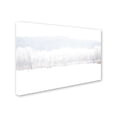 thumbnail image 2 of "Abstract Winter Beaver Marsh" Canvas Art by Kurt Shaffer, 2 of 3