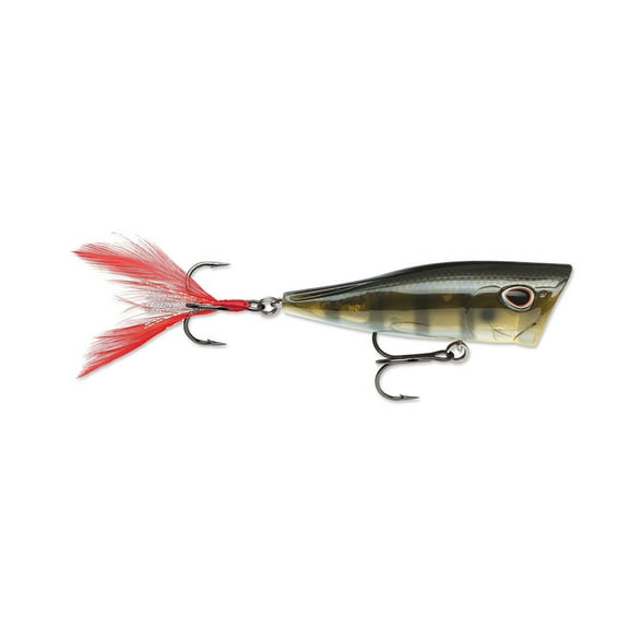 Arashi Cover Pop Hard Bait Lure