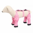 thumbnail image 7 of TELOLY Dog Suspender Boots, Dog Snow Pants with Attached Boots Waterproof Dog Snow Pants with Attached Boots Waterproof Dog Paw Boot Leggings Anti- (Pink, S), 7 of 7
