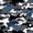 Gray Blue, variant on Manfei Minimalst Camouflage Zipper Twin Comforter Sets with Fitted Sheet and 2 Pillowcases, Mid Century Camo Zipper Bedding Set, Steel Blue, Black Reversible, 4pcs