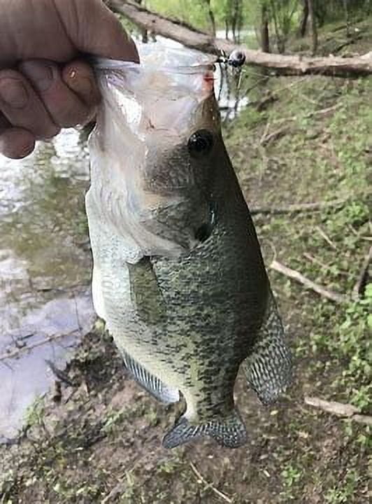 Strike King Mr Crappie Shadpole Refrigerator White Panfish Lure