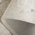 thumbnail image 6 of SAFAVIEH Harvest Mordikai Distressed Area Rug, Silver/Ivory, 3' x 5', 6 of 11