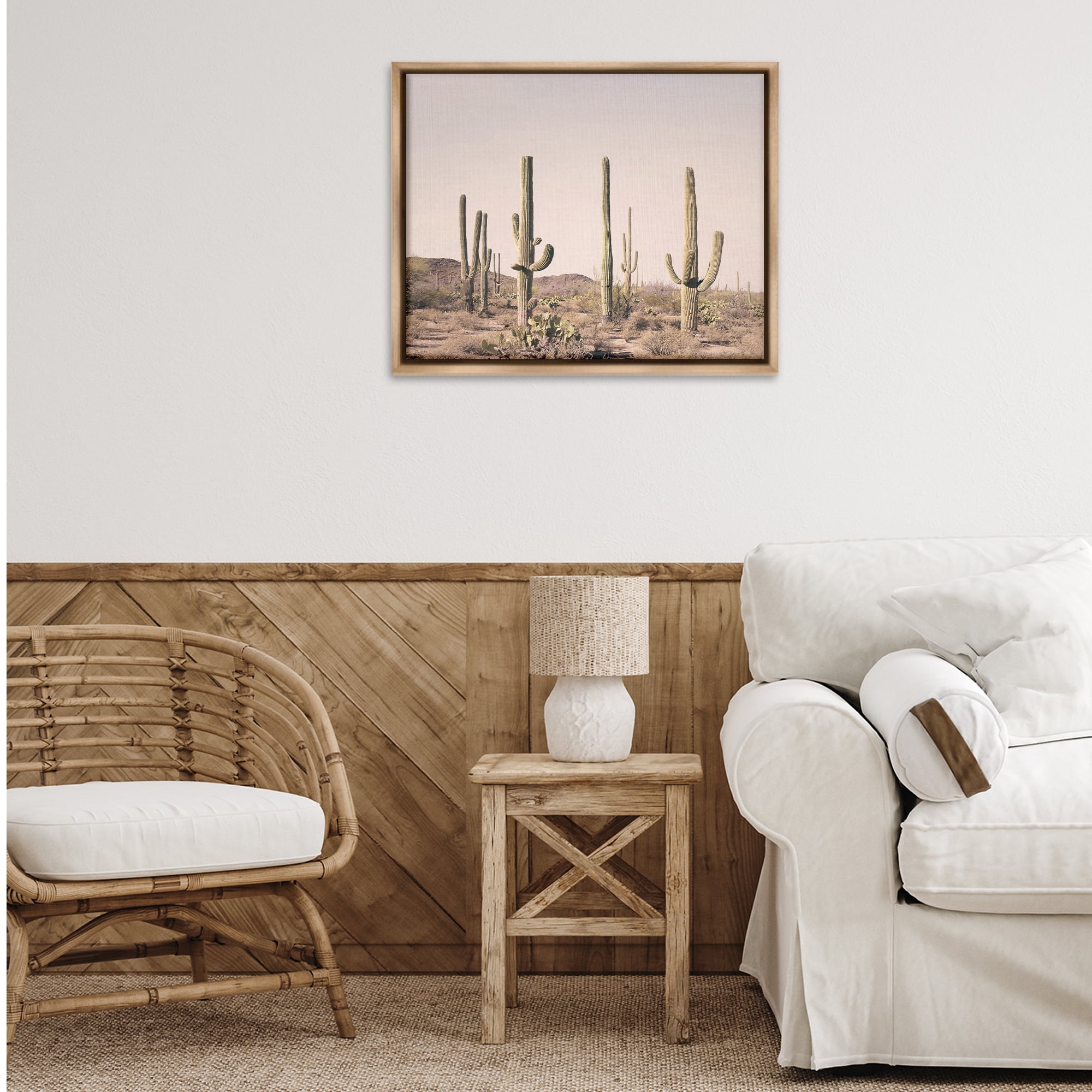 Stupell Industries Blush Cactus Field Landscape & Nature Photography Brown Floater Framed Canvas Art Print Wall Art, 31 x 25