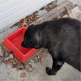 thumbnail image 3 of Farm Innovators Animal Square Red Heated Water Bowl 60W, 3 of 3